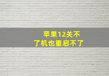 苹果12关不了机也重启不了