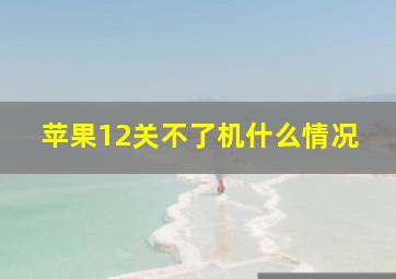 苹果12关不了机什么情况