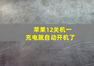 苹果12关机一充电就自动开机了