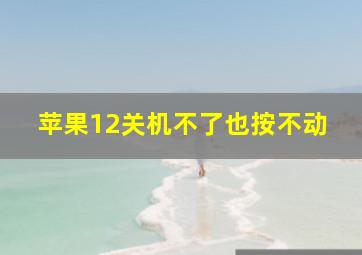 苹果12关机不了也按不动