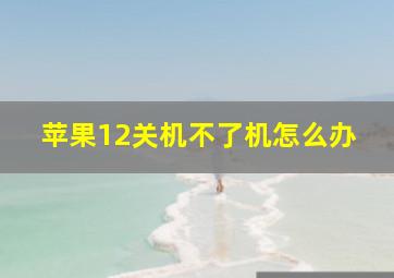 苹果12关机不了机怎么办