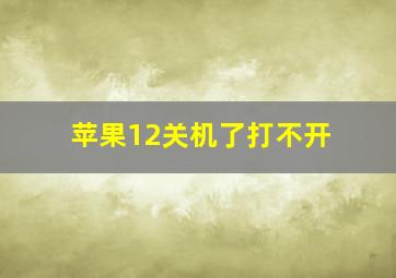 苹果12关机了打不开