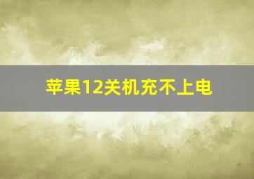 苹果12关机充不上电