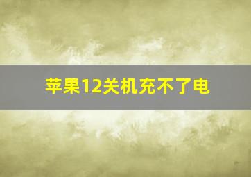 苹果12关机充不了电