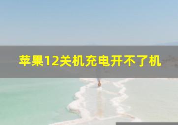 苹果12关机充电开不了机