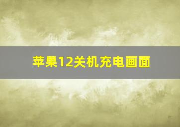 苹果12关机充电画面