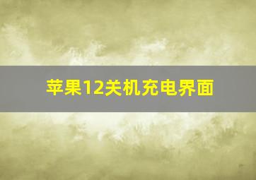 苹果12关机充电界面