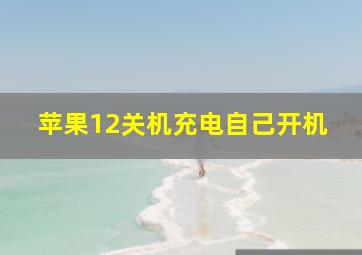 苹果12关机充电自己开机