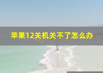 苹果12关机关不了怎么办