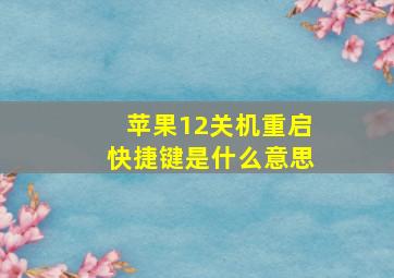 苹果12关机重启快捷键是什么意思