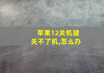 苹果12关机键关不了机,怎么办