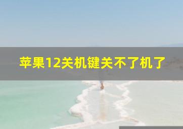 苹果12关机键关不了机了