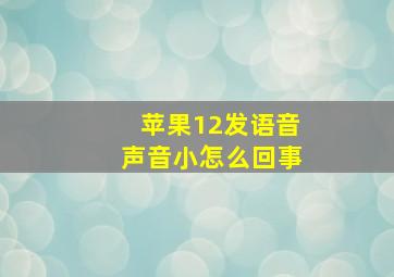 苹果12发语音声音小怎么回事