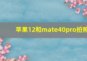 苹果12和mate40pro拍照