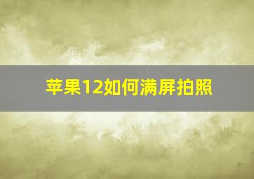 苹果12如何满屏拍照