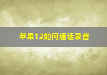 苹果12如何通话录音