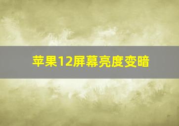 苹果12屏幕亮度变暗