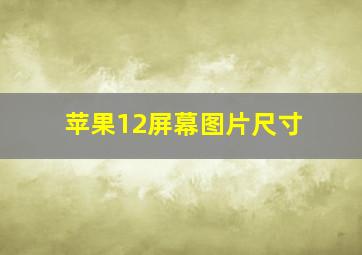 苹果12屏幕图片尺寸