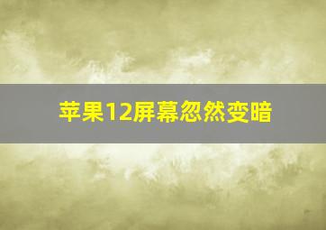 苹果12屏幕忽然变暗