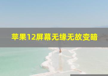 苹果12屏幕无缘无故变暗