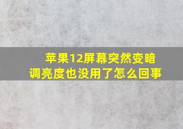 苹果12屏幕突然变暗调亮度也没用了怎么回事