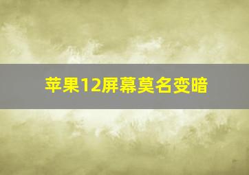 苹果12屏幕莫名变暗