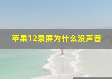 苹果12录屏为什么没声音