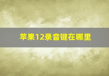 苹果12录音键在哪里