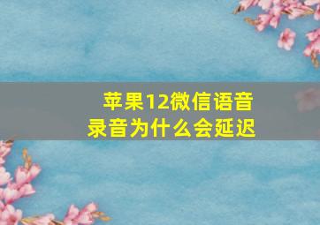 苹果12微信语音录音为什么会延迟