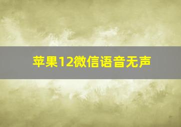 苹果12微信语音无声