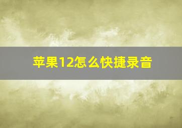 苹果12怎么快捷录音