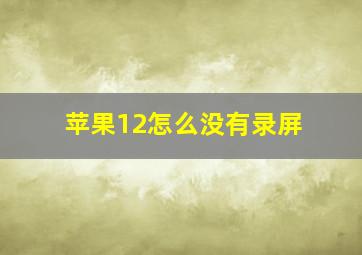 苹果12怎么没有录屏