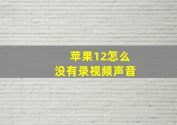 苹果12怎么没有录视频声音