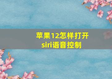 苹果12怎样打开siri语音控制