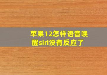 苹果12怎样语音唤醒siri没有反应了