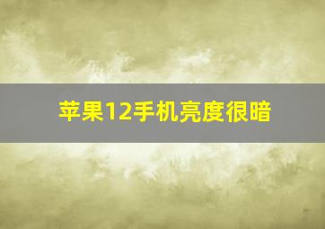 苹果12手机亮度很暗