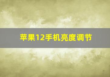 苹果12手机亮度调节