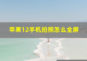 苹果12手机拍照怎么全屏