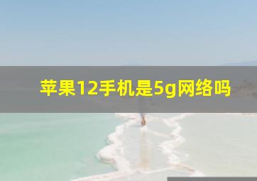 苹果12手机是5g网络吗