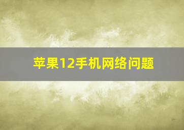 苹果12手机网络问题