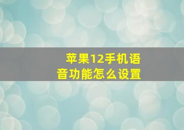 苹果12手机语音功能怎么设置