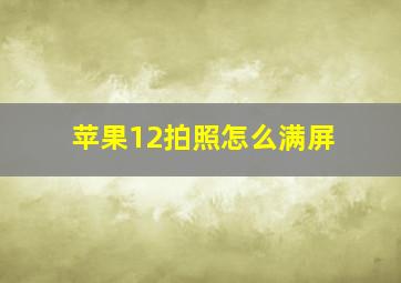 苹果12拍照怎么满屏