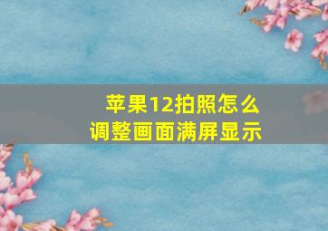 苹果12拍照怎么调整画面满屏显示