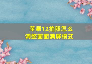 苹果12拍照怎么调整画面满屏模式