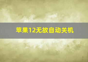 苹果12无故自动关机