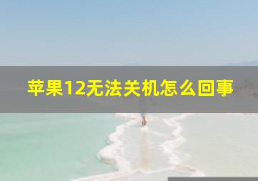 苹果12无法关机怎么回事