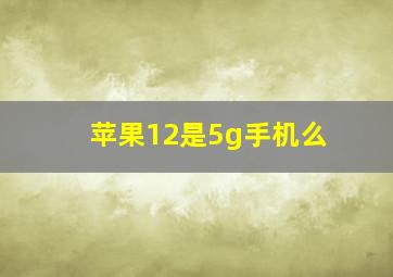 苹果12是5g手机么