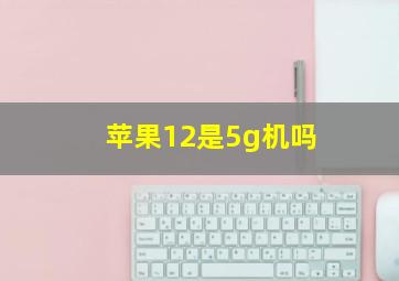 苹果12是5g机吗