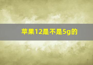 苹果12是不是5g的