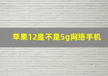 苹果12是不是5g网络手机